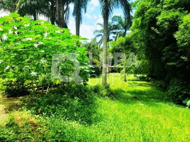 Terreno / Lote para Venda em São Paulo/SP Vila Amélia