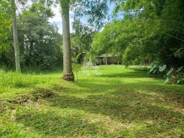Terreno / Lote para Venda em São Paulo/SP Vila Amélia
