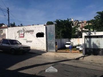 Terreno / Lote para Venda em São Paulo/SP Vila Amélia