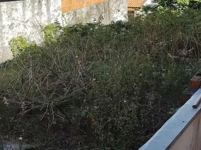 Terreno / Lote para Venda em São Paulo/SP Vila Anglo Brasileira
