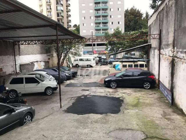 Terreno / Lote para Venda em São Paulo/SP Vila Anglo Brasileira