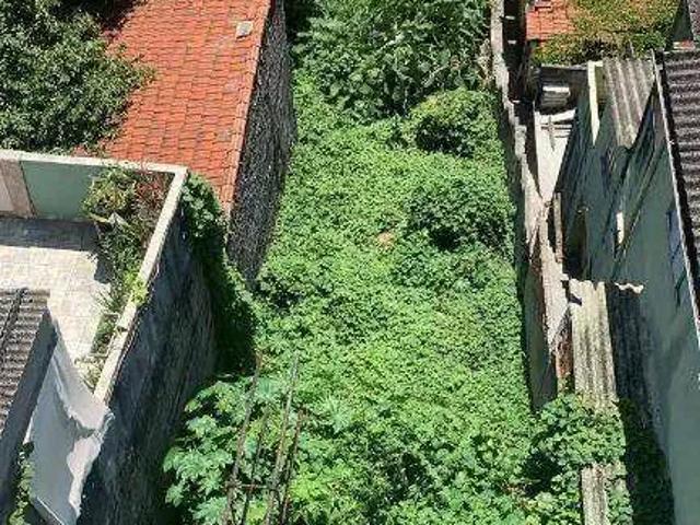 Terreno / Lote para Venda em São Paulo/SP Vila Anglo Brasileira