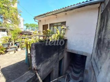 Terreno / Lote para Venda em São Paulo/SP Vila Anglo Brasileira