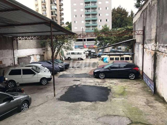 Terreno / Lote para Venda em São Paulo/SP Vila Anglo Brasileira