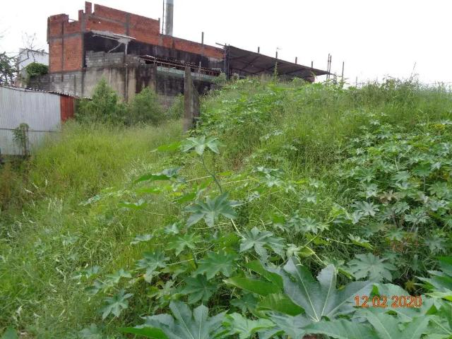 Terreno / Lote para Venda em São Paulo/SP Vila Andrade