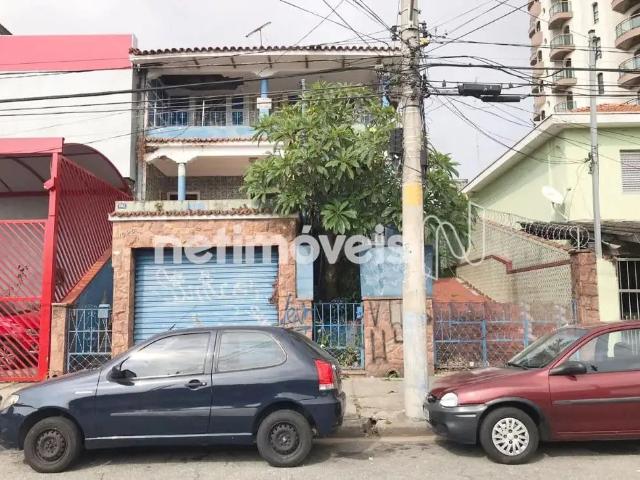 Terreno / Lote para Venda em São Paulo/SP Vila Aricanduva