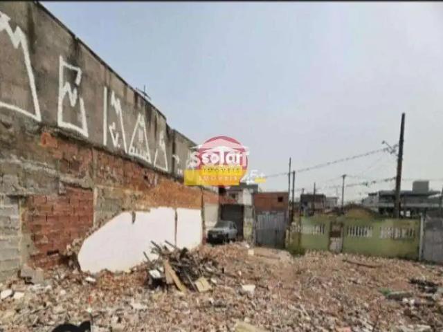 Terreno / Lote para Venda em São Paulo/SP Vila Barbosa