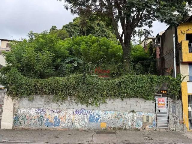 Terreno / Lote para Venda em São Paulo/SP Vila Barreto