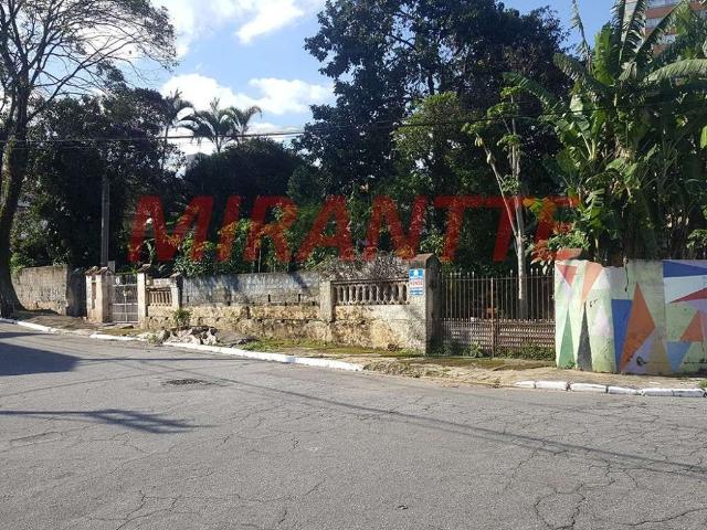 Terreno / Lote para Venda em São Paulo/SP Vila Barreto