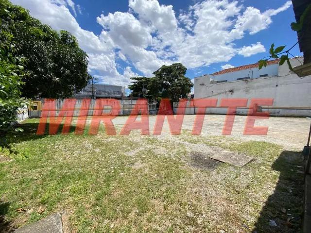 Terreno / Lote para Venda em São Paulo/SP Vila Baruel