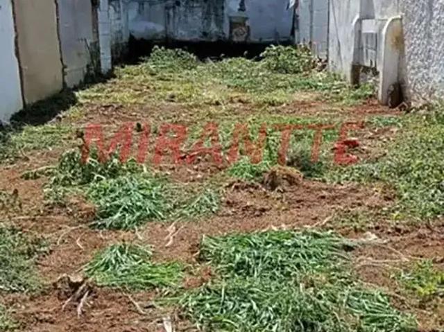 Terreno / Lote para Venda em São Paulo/SP Vila Baruel