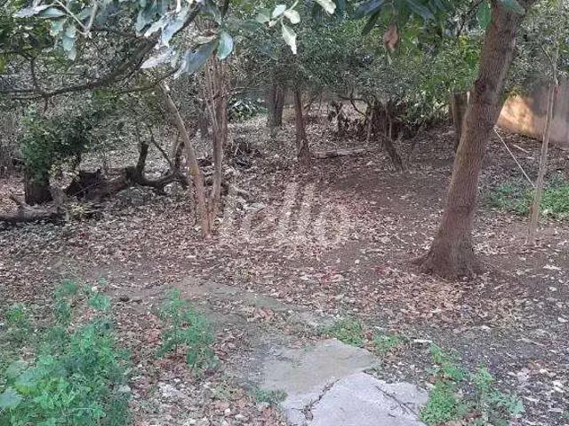 Terreno / Lote para Venda em São Paulo/SP Vila Bela