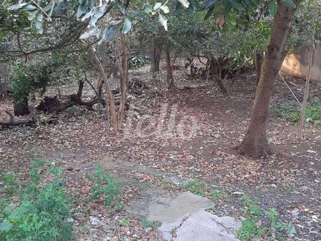Terreno / Lote para Venda em São Paulo/SP Vila Bela