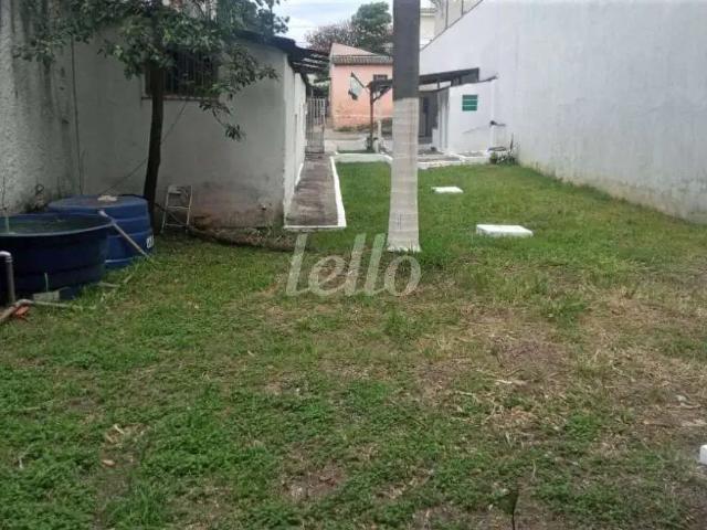 Terreno / Lote para Venda em São Paulo/SP Vila Bertioga