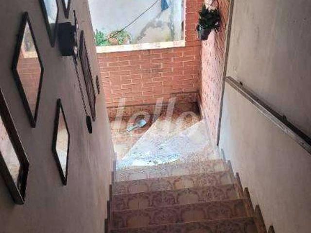 Terreno / Lote para Venda em São Paulo/SP Vila Bertioga