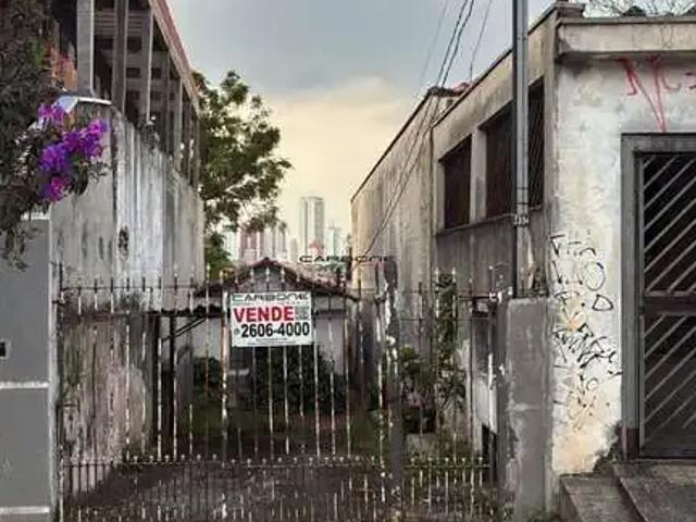 Terreno / Lote para Venda em São Paulo/SP Vila Bertioga