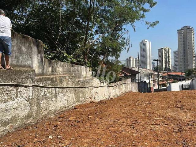 Terreno / Lote para Venda em São Paulo/SP Vila Bertioga