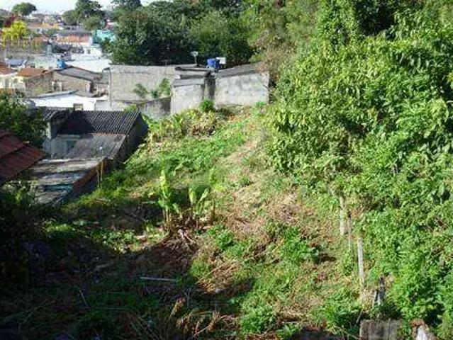 Terreno / Lote para Venda em São Paulo/SP Vila Bonilha