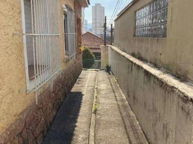 Terreno / Lote para Venda em São Paulo/SP Vila Bonilha