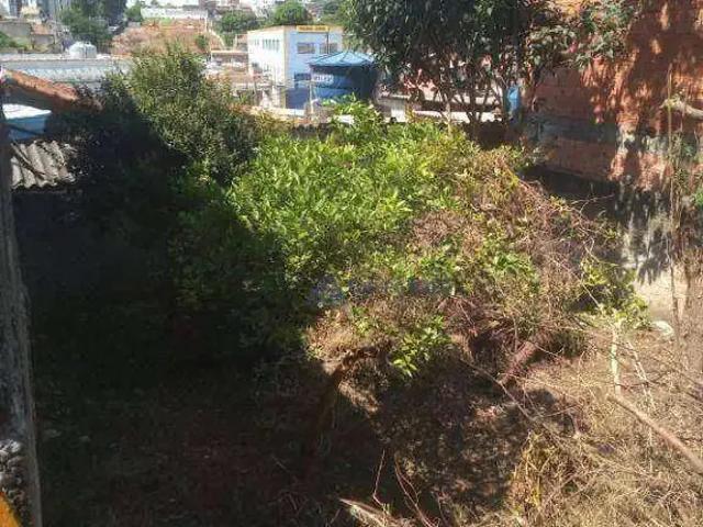 Terreno / Lote para Venda em São Paulo/SP Vila Brasil