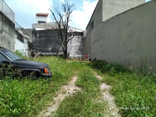 Terreno / Lote para Venda em São Paulo/SP Vila Brasílio Machado