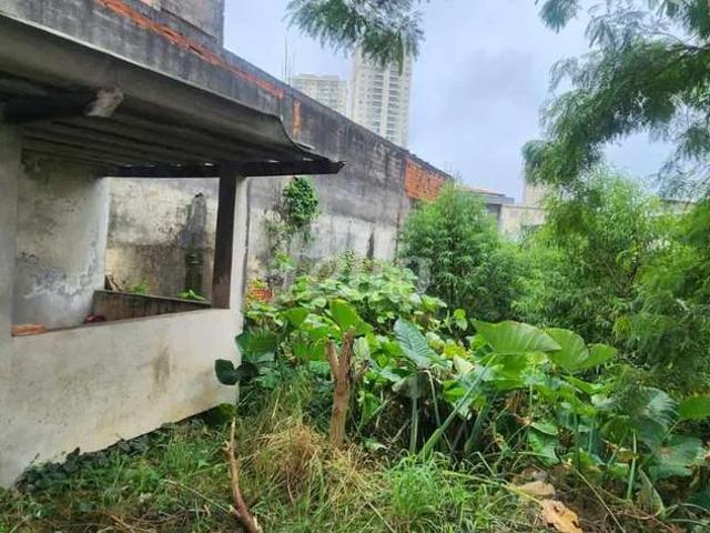 Terreno / Lote para Venda em São Paulo/SP Vila Brasílio Machado