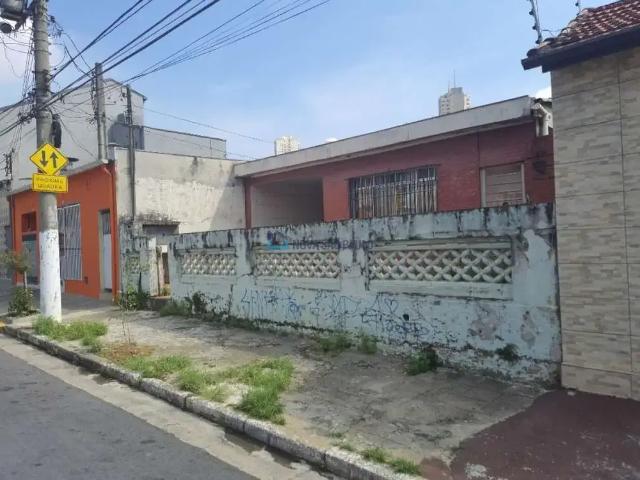 Terreno / Lote para Venda em São Paulo/SP Vila Brasílio Machado