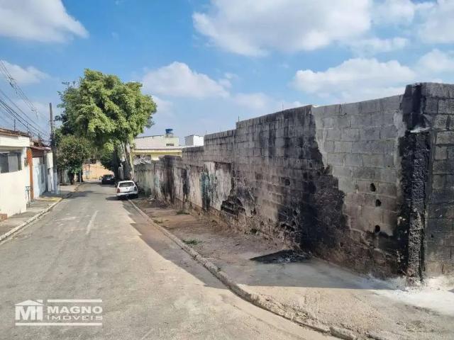 Terreno / Lote para Venda em São Paulo/SP Vila Curuçá