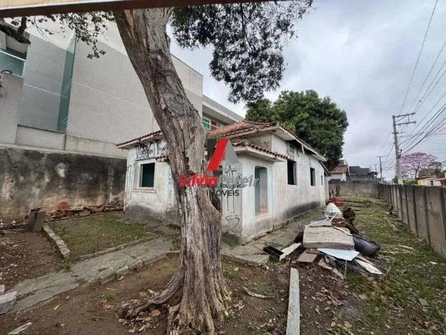 Terreno / Lote para Venda em São Paulo/SP Vila Curuçá