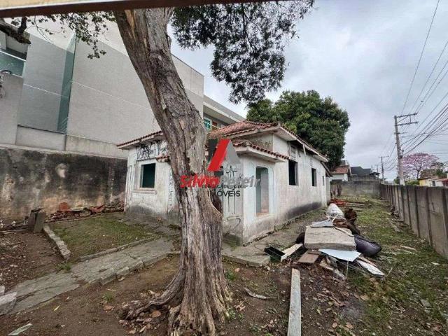 Terreno / Lote para Venda em São Paulo/SP Vila Curuçá