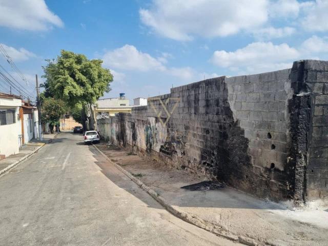 Terreno / Lote para Venda em São Paulo/SP Vila Curuçá
