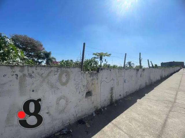 Terreno / Lote para Venda em São Paulo/SP Vila Curuçá 1 Quartos