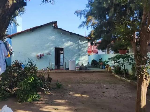Terreno / Lote para Venda em São Paulo/SP Vila Curuçá