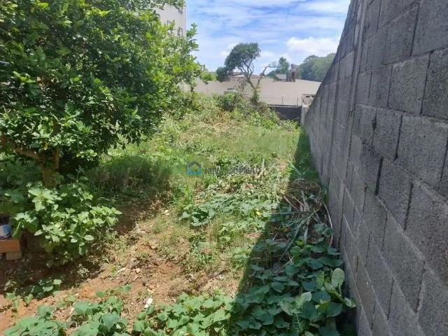Terreno / Lote para Venda em São Paulo/SP Vila Campestre