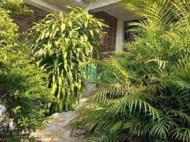 Terreno / Lote para Venda em São Paulo/SP Vila Canero