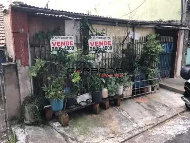 Terreno / Lote para Venda em São Paulo/SP Vila Canero