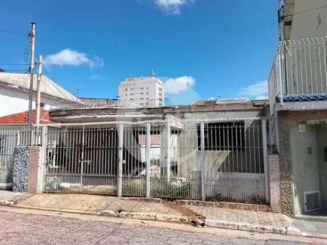 Terreno / Lote para Venda em São Paulo/SP Vila Carrão