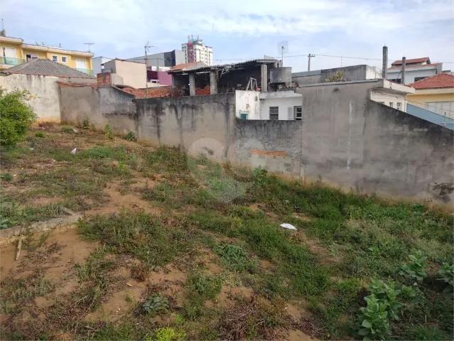 Terreno / Lote para Venda em São Paulo/SP Vila Carrão