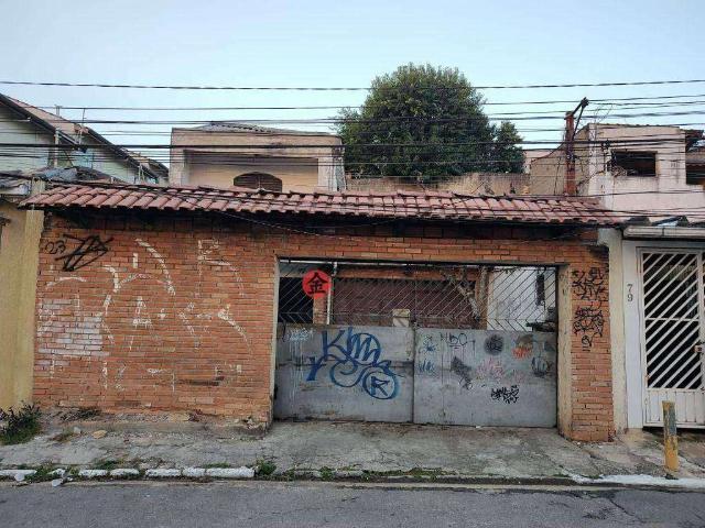Terreno / Lote para Venda em São Paulo/SP Vila Carrão