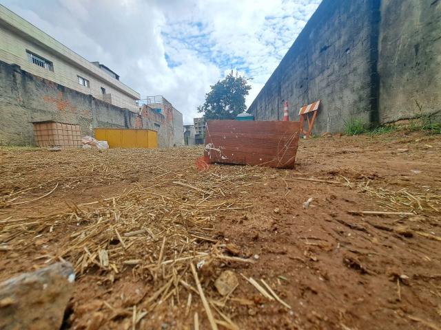 Terreno / Lote para Venda em São Paulo/SP Vila Carrão