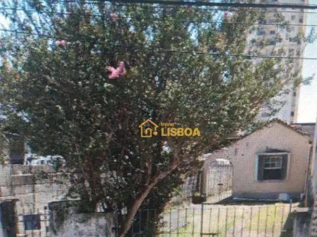 Terreno / Lote para Venda em São Paulo/SP Vila Carrão