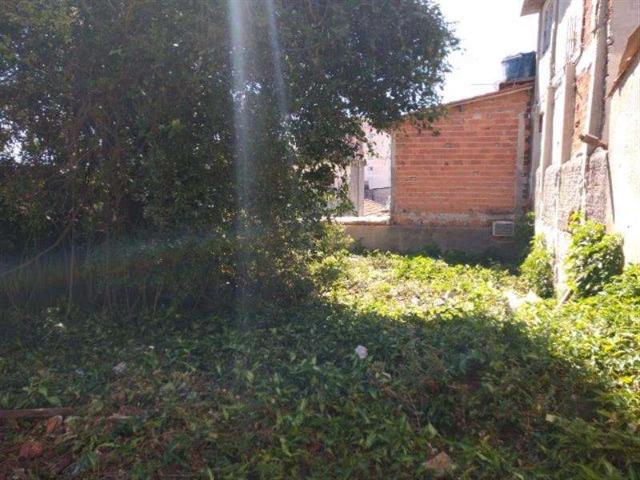 Terreno / Lote para Venda em São Paulo/SP Vila Carrão