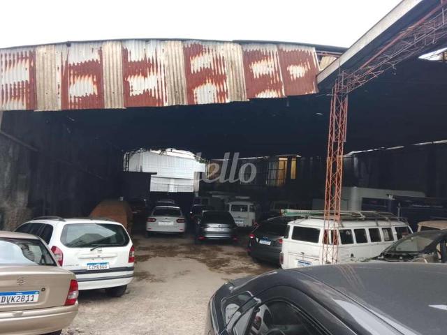 Terreno / Lote para Venda em São Paulo/SP Vila Carrão