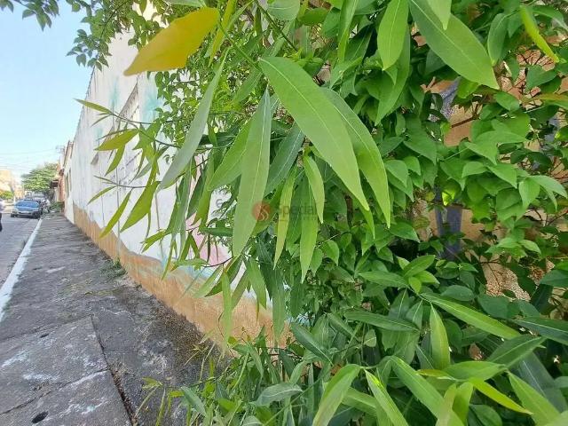 Terreno / Lote para Venda em São Paulo/SP Vila Carrão