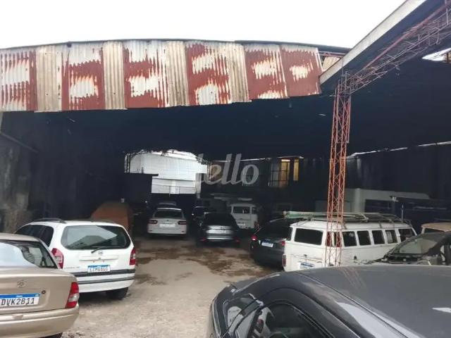Terreno / Lote para Venda em São Paulo/SP Vila Carrão
