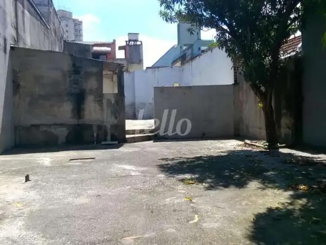 Terreno / Lote para Venda em São Paulo/SP Vila Carrão