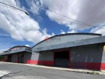 Terreno / Lote para Venda em São Paulo/SP Vila Carrão