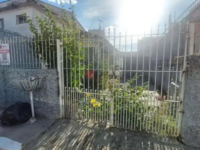 Terreno / Lote para Venda em São Paulo/SP Vila Carrão