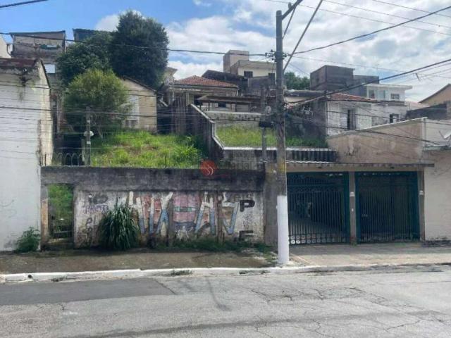 Terreno / Lote para Venda em São Paulo/SP Vila Carrão