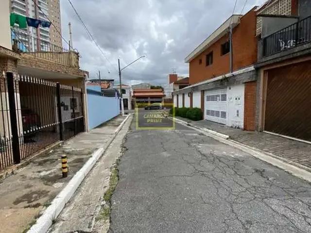 Terreno / Lote para Venda em São Paulo/SP Vila Carrão